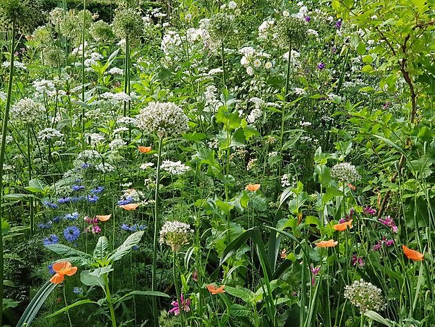 Garten Nauta de Blaauw Slochteren