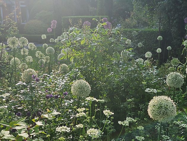 Garten Nauta de Blaauw Slochteren