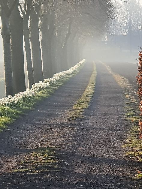  - Het Tuinpad Op / In Nachbars Garten