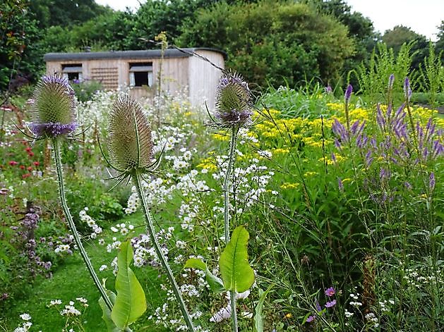  - Het Tuinpad Op / In Nachbars Garten