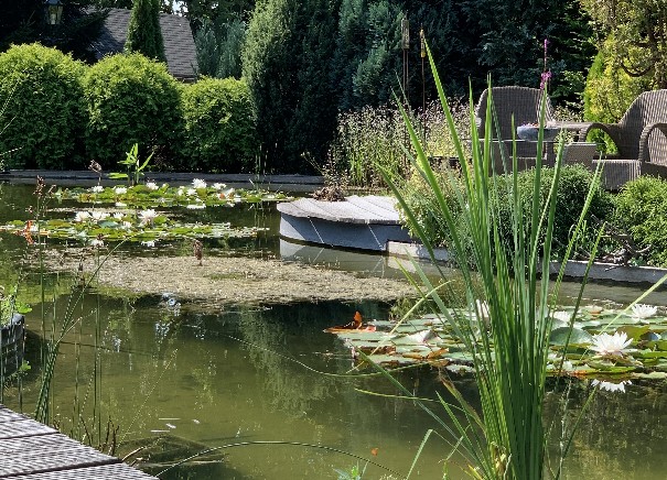  - Het Tuinpad Op / In Nachbars Garten