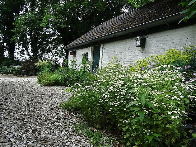 Jan Wilde een Tuin Westerlee - Het Tuinpad Op / In Nachbars Garten