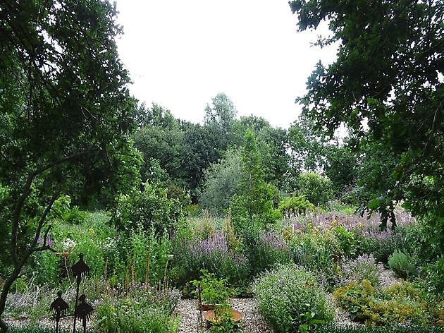 Jan Wilde een Tuin Westerlee