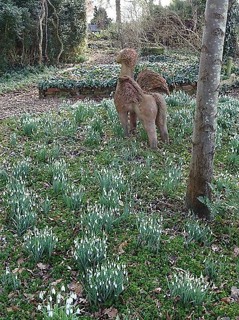 Jan Wilde een Tuin Westerlee - Het Tuinpad Op / In Nachbars Garten