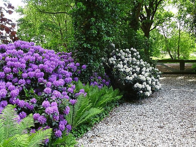 Jan Wilde een Tuin Westerlee - Het Tuinpad Op / In Nachbars Garten