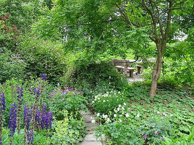  - Het Tuinpad Op / In Nachbars Garten