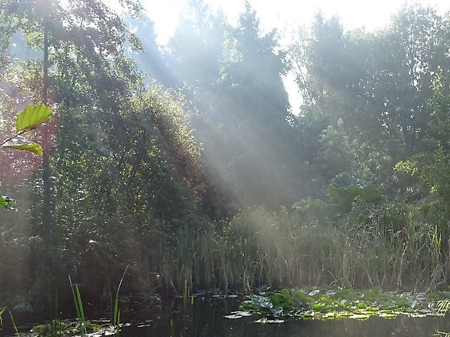  - Het Tuinpad Op / In Nachbars Garten