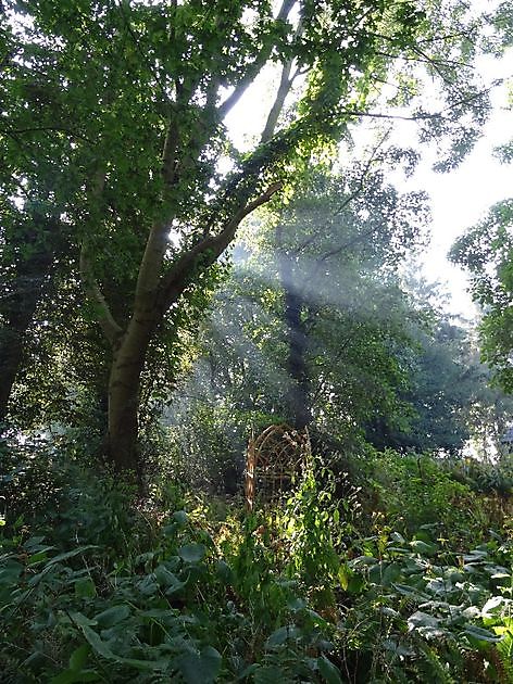 Jan Wilde een Tuin Westerlee