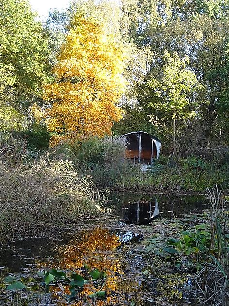 Jan Wilde een Tuin Westerlee