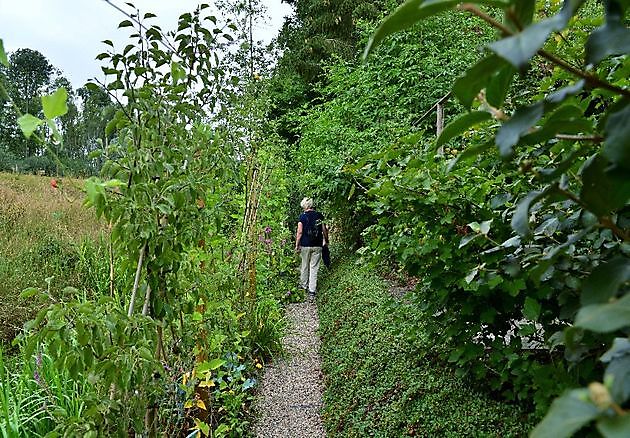  - Het Tuinpad Op / In Nachbars Garten