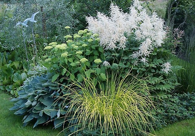  - Het Tuinpad Op / In Nachbars Garten