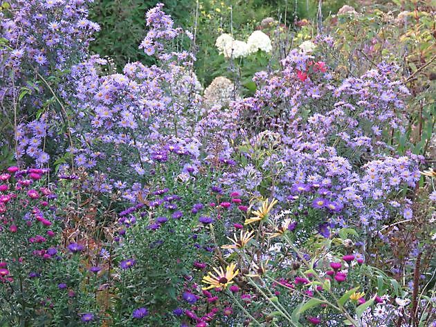  - Het Tuinpad Op / In Nachbars Garten