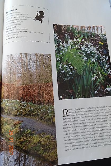  - Het Tuinpad Op / In Nachbars Garten