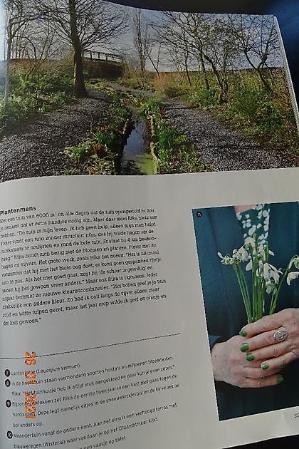 Tuinfleur Oostwold - Het Tuinpad Op / In Nachbars Garten