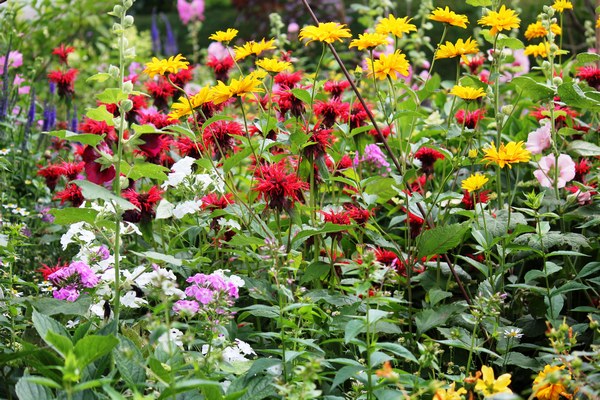  - Het Tuinpad Op / In Nachbars Garten