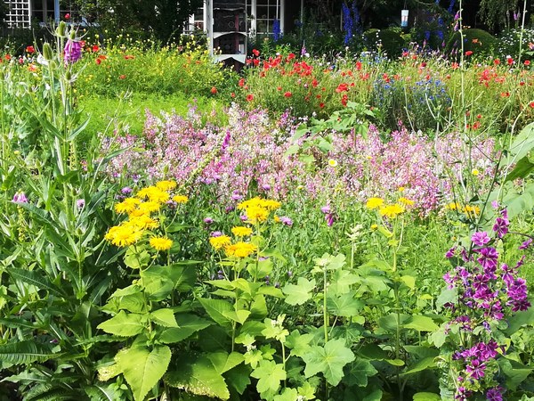 Tuin Meyer Varel-Altjührden