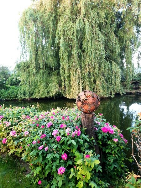 Tuin der verscheidenheid Friesoythe-Neuscharrel - Het Tuinpad Op / In Nachbars Garten