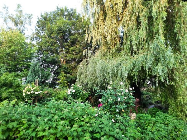 Tuin der verscheidenheid Friesoythe-Neuscharrel - Het Tuinpad Op / In Nachbars Garten