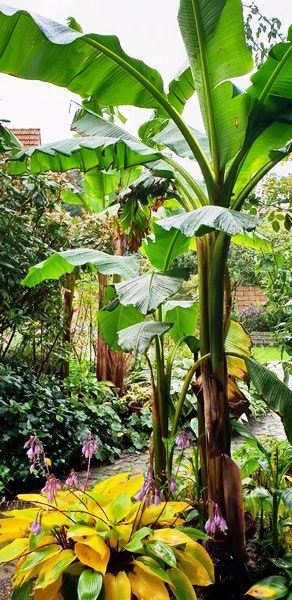 Tuin van Wilfried Rösner Elsfleth - Het Tuinpad Op / In Nachbars Garten