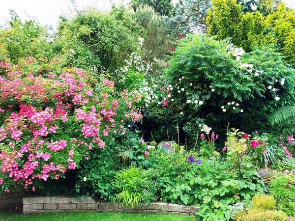  - Het Tuinpad Op / In Nachbars Garten