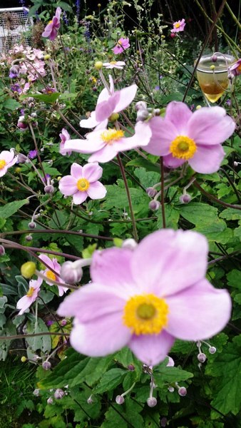 Garten Wilfried Rösner Elsfleth