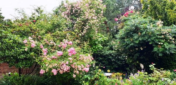  - Het Tuinpad Op / In Nachbars Garten