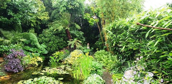 Tuin van Wilfried Rösner Elsfleth - Het Tuinpad Op / In Nachbars Garten
