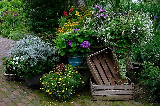 De Hoofdmeesterstuin Emmer-Compascuum - Het Tuinpad Op / In Nachbars Garten