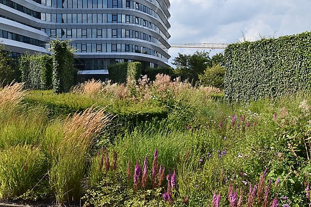 Stads/daktuin Kempkensberg Groningen