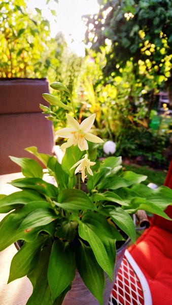 Tuin Am Schwarzen Brack Sande/Neustadtgödens