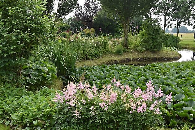 Meerstadtuin Harkstede