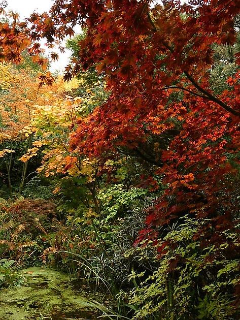 Garten der Stille Oldenburg