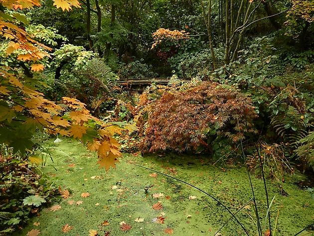 Garten der Stille Oldenburg