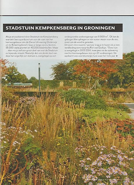 Stadt-/Dachgarten Kempkensberg Groningen - Het Tuinpad Op / In Nachbars Garten