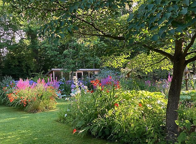 Garten Marie José Tepe Eelde