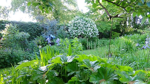 Garten Marie José Tepe Eelde