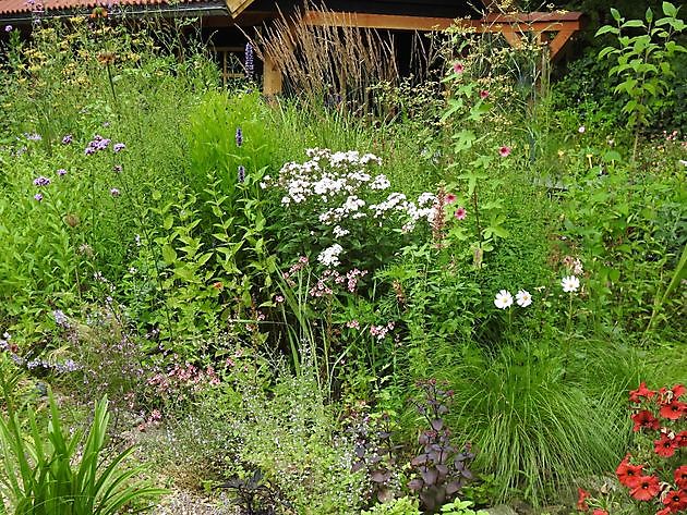  - Het Tuinpad Op / In Nachbars Garten