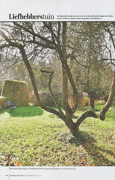  - Het Tuinpad Op / In Nachbars Garten