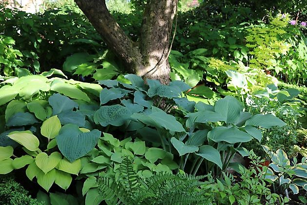 Garten beim Holze Bad Zwischenahn-Bloh