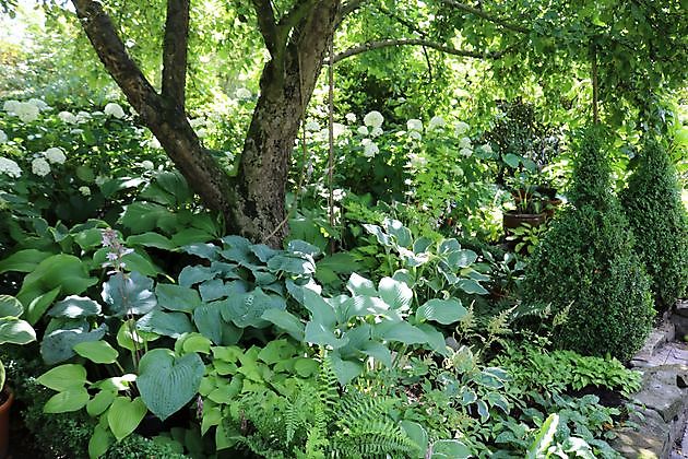 Garten beim Holze Bad Zwischenahn-Bloh