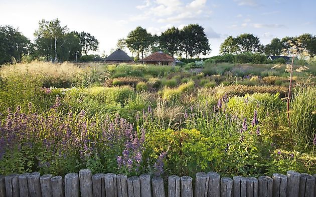  - Het Tuinpad Op / In Nachbars Garten