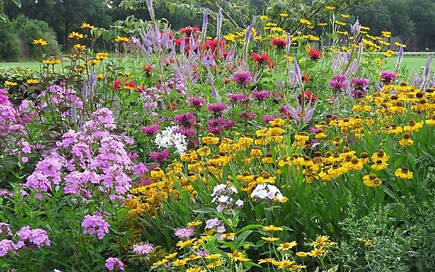  - Het Tuinpad Op / In Nachbars Garten