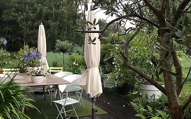 Tuin van Helen Buwalda Groningen - Het Tuinpad Op / In Nachbars Garten