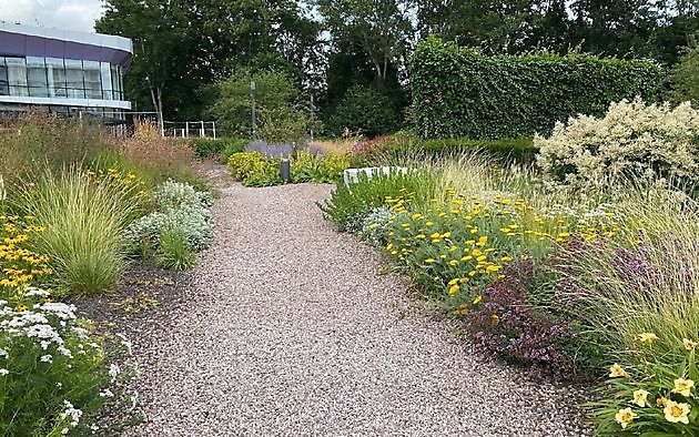 Stads/daktuin Kempkensberg Groningen