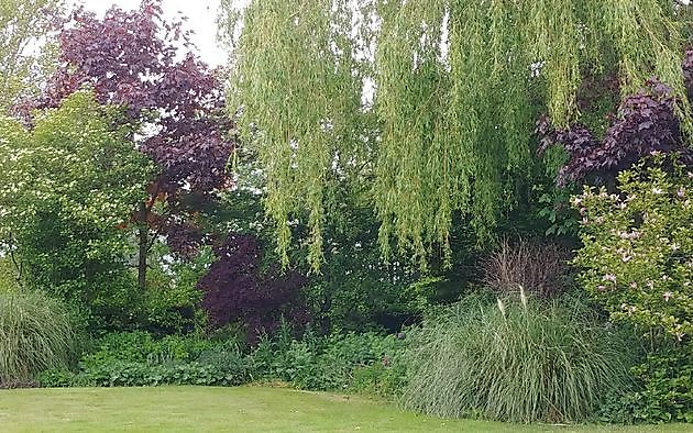  - Het Tuinpad Op / In Nachbars Garten