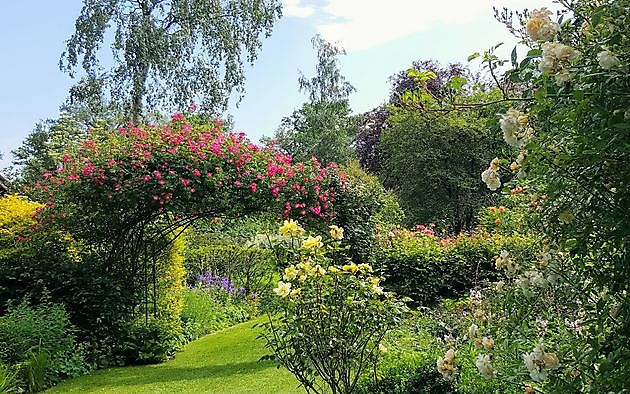 De Tuin van Anneke van Apeldoorn Havelte