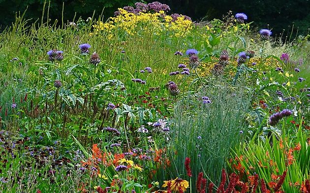  - Het Tuinpad Op / In Nachbars Garten