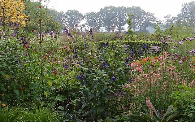  - Het Tuinpad Op / In Nachbars Garten