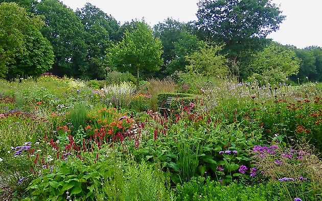 Roos van Hijken Hijken - Het Tuinpad Op / In Nachbars Garten