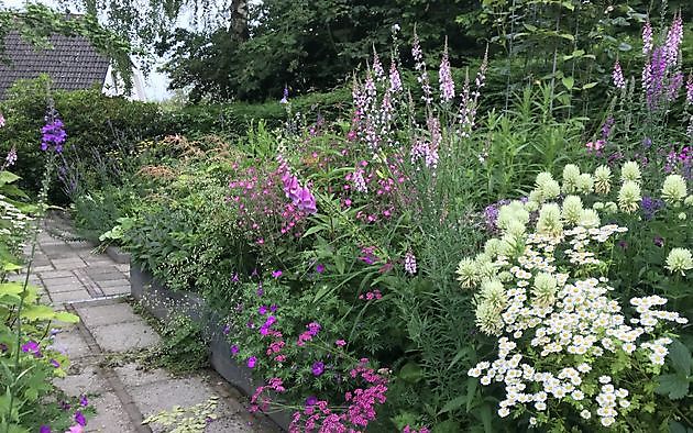  - Het Tuinpad Op / In Nachbars Garten